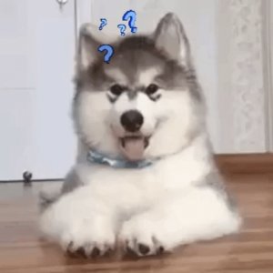 xT0xeuOy2Fcl9vDGiA.jpg