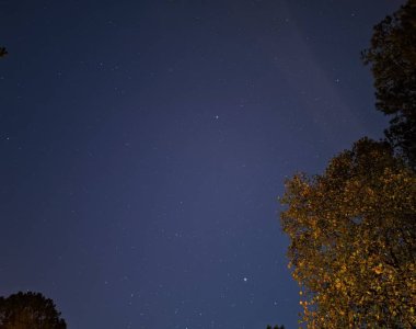 210.jpg