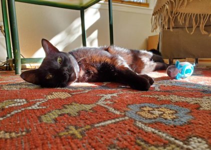 20191102_150635.jpeg