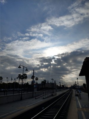 IMAG0155.jpg
