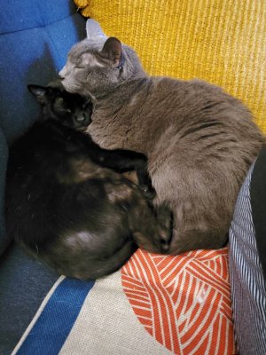 20200123_161945.jpeg