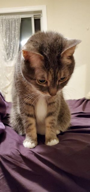 20200124_222443.jpeg