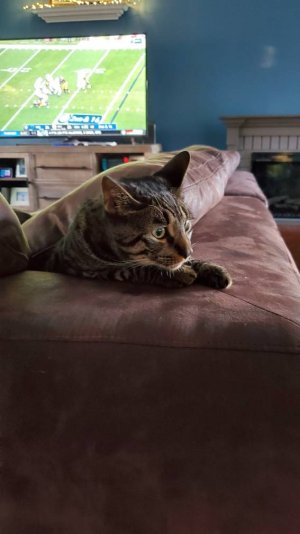 20191103_154441.jpeg