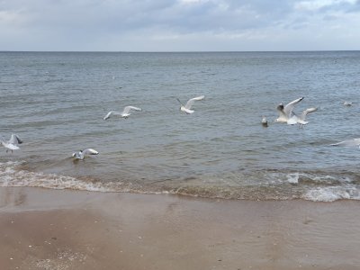 20190309_160433.jpg
