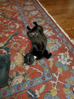 20191104_211447.jpeg