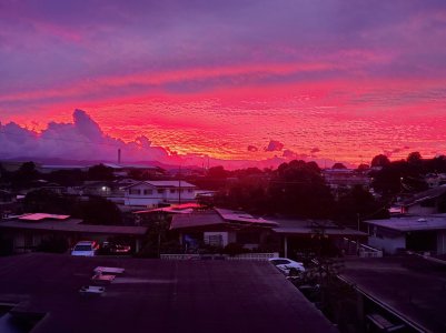 20191106_062336.jpg
