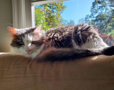 20191106_202859.jpeg