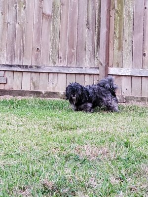 20191106_173028.jpeg