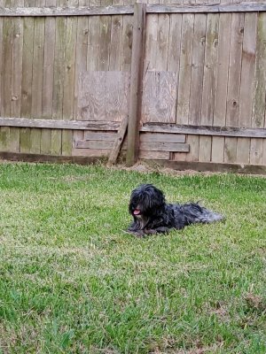 20191106_173047.jpeg