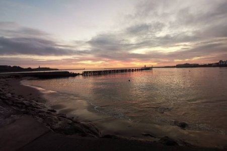 IMG_20191016_072902.jpeg