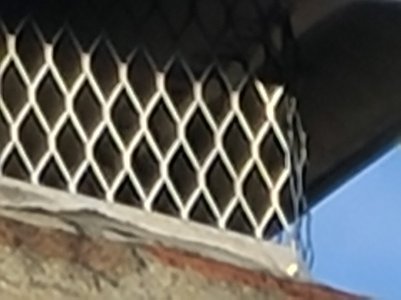 Chimney x 100.jpg