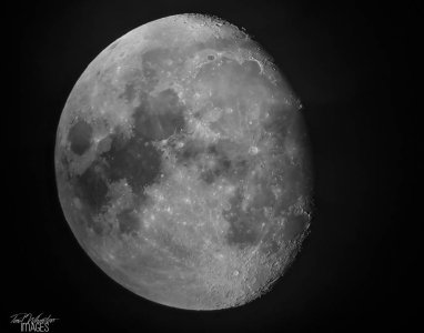 moon8-11-19-1.jpeg