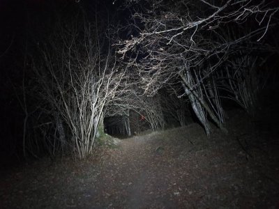 20191111_182913.jpeg