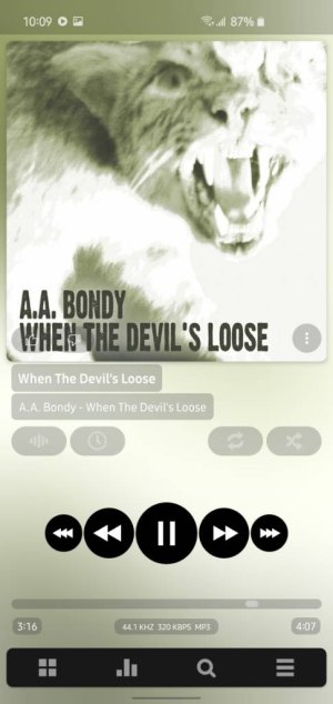 Screenshot_20191107-220913_Poweramp.jpeg