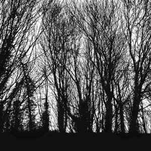 IMG_20200206_213000_569.jpeg