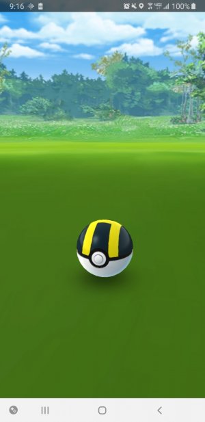 Screenshot_20191114-091635_Pokmon GO.jpg