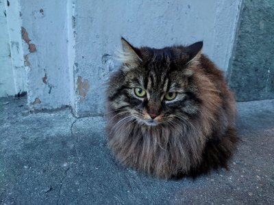 DSC_0017.jpg