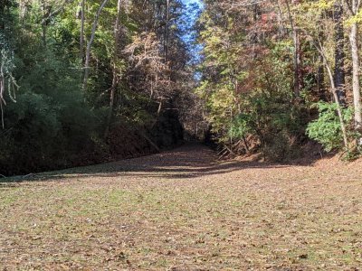 IMG_20191116_140046.jpeg