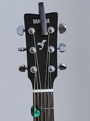 S20-Standard-Crop.jpg