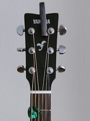 S20-64-Crop.jpg