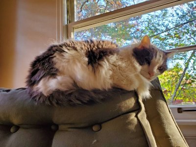 20191116_152124.jpeg