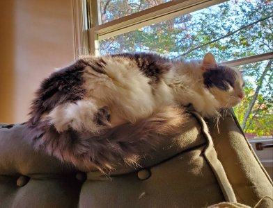 20191117_083918.jpeg