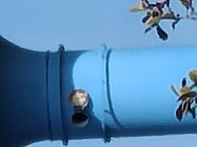 20200307_125533.jpg