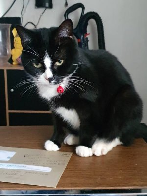 20200212_160053.jpeg