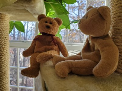 teddies.jpg
