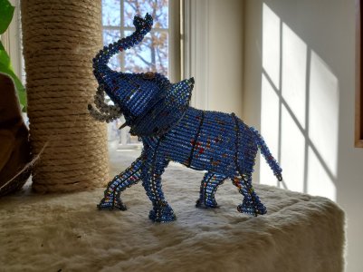 elephant.jpg