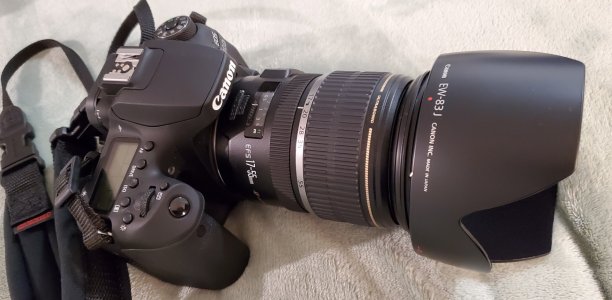 17-55 Lens Hood EW-83J forward.jpg