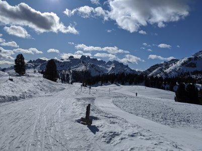IMG_20200212_110519.jpg