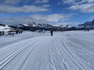IMG_20200203_111444.jpg