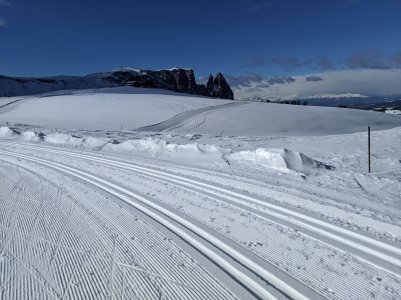 IMG_20200203_111436.jpg
