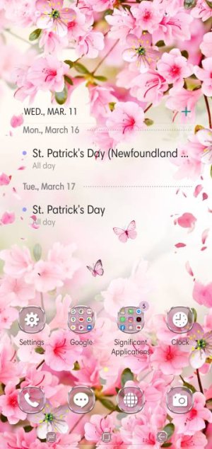 Screenshot_20200311-192212_One%20UI%20Home.jpeg