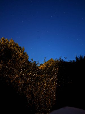IMG_20191118_173834.jpeg