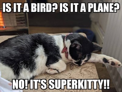 superkitty.jpeg