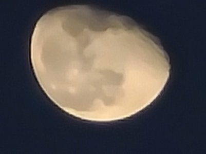 20200313_071731.jpg