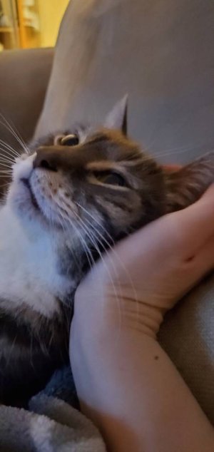 20200219_200100.jpeg