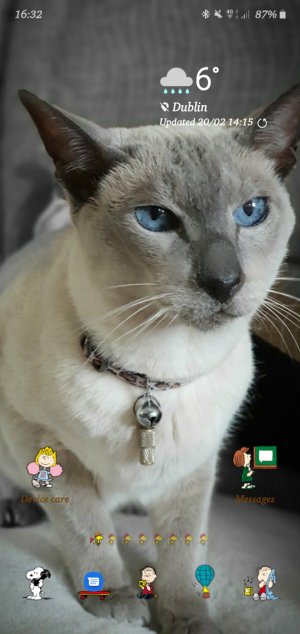 Screenshot_20200220-163224_One UI Home.jpg