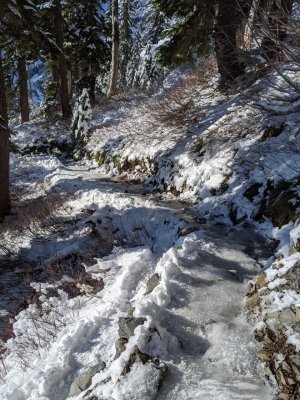 IMG_20191129_111033.jpg