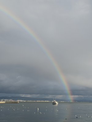 IMG_20191129_154657.jpg