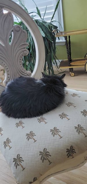 20200222_172227.jpeg