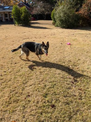 IMG_20191128_133522.jpeg