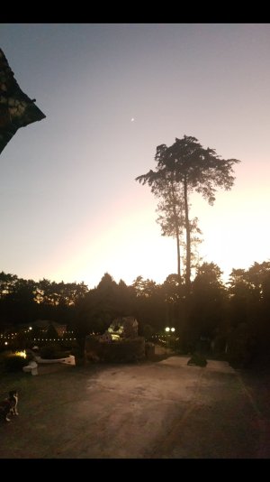 Screenshot_20191202-171352_Gallery.jpg