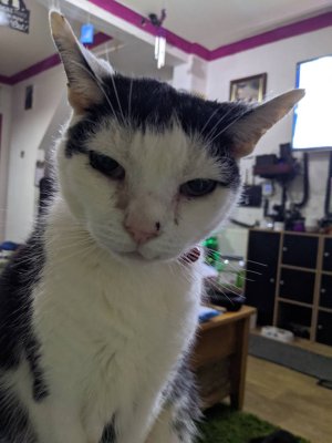 IMG_20191202_204936_MP.jpeg