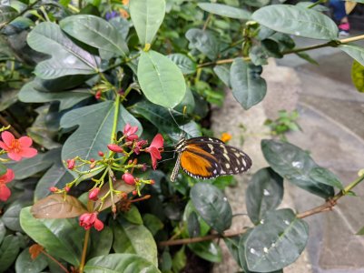 IMG_20200220_141810.jpg