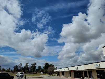 20200316_130117.jpg