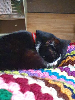 20200317_135511.jpeg