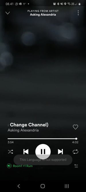 Screenshot_20200509-084153_Spotify.jpg
